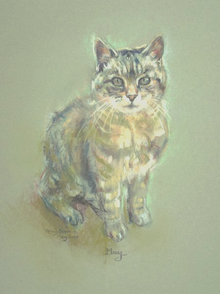 Pet portraits by Penny Bearman