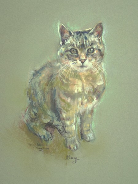 Pet portraits by Penny Bearman